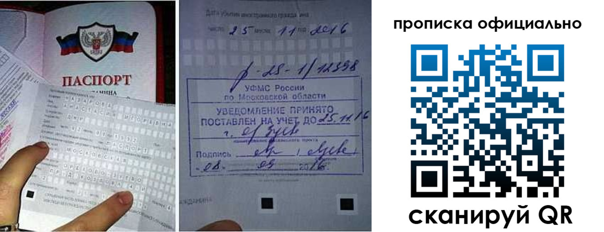 прописка паспорт в Каргополе